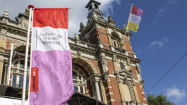 Nederlands Theater Festival - Flags 
