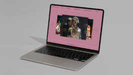 Post Castelijn - Website on laptop 