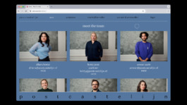 Post Castelijn - Website team