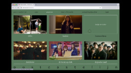 Post Castelijn - Website projects