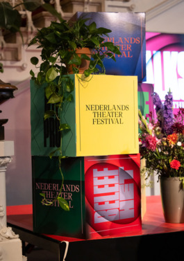 NTF - Festival dressing 